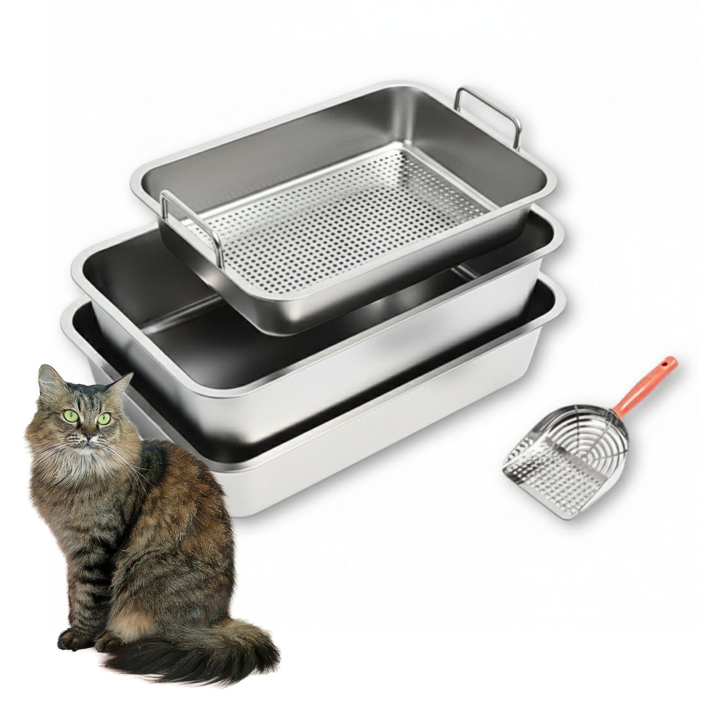 Stainless Steel Cat Litter Box Set – 4-Piece Kit with 2 Trays, Sifter & Scoop | Easy to Clean & Odor Resistant