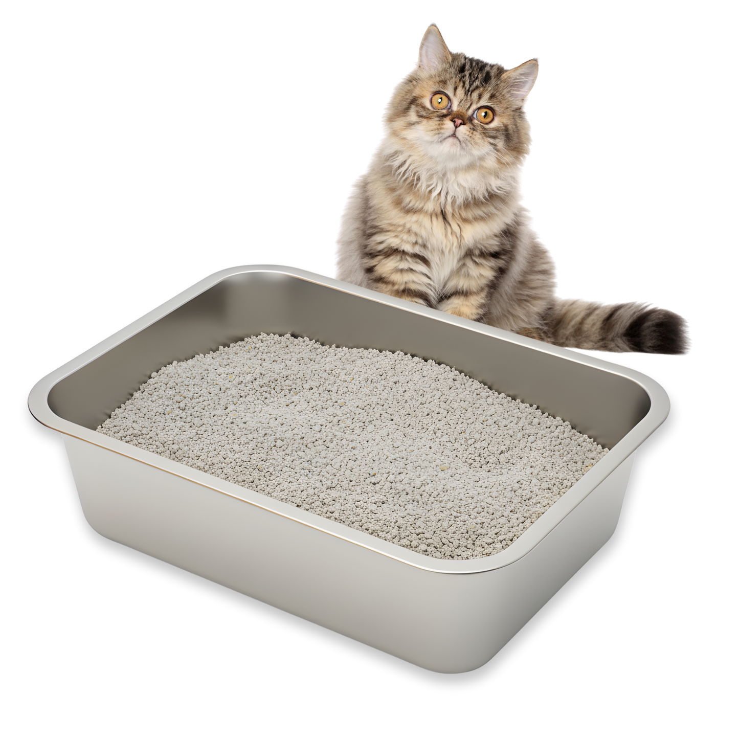 Stainless Steel Cat Litter Tray | Includes Metal Scoop | Hygienic, Durable & Odor-Resistant | 18×14×6 Inches